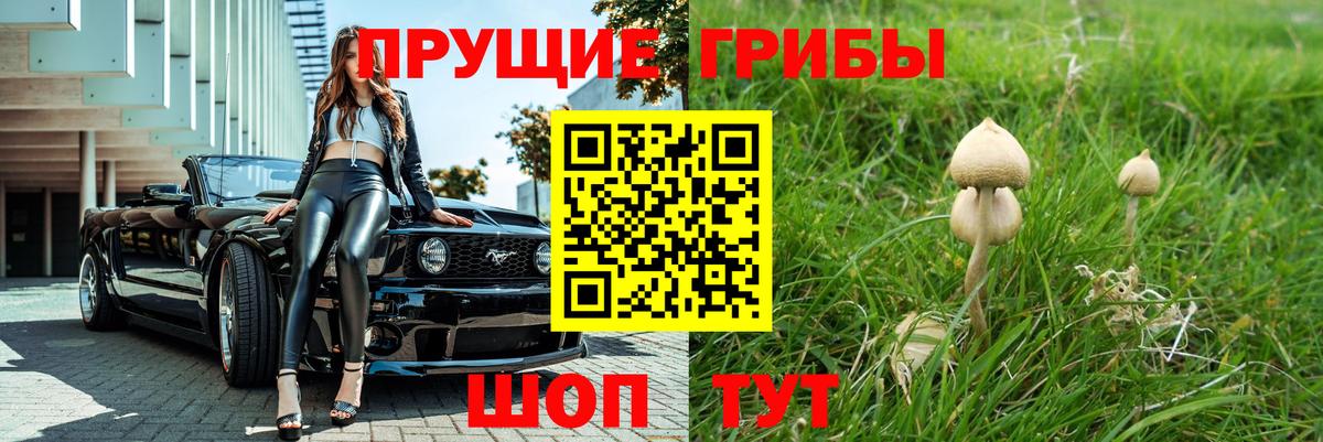 Саранск  Псилоцибиновые грибы Magic Shrooms  Вход с VPN  Галлюциногенные грибы Magic Shrooms 